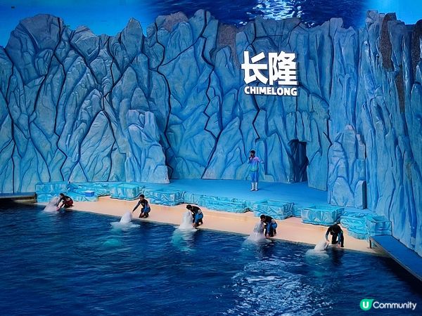 海洋生物及機動遊戲