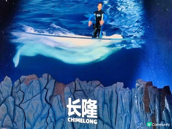 海洋生物及機動遊戲