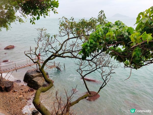 香港西環泳棚~在地人都不知道的私房祕境🏞️