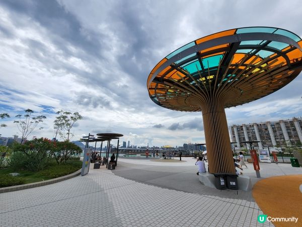 小孩。毛孩。放電好去處