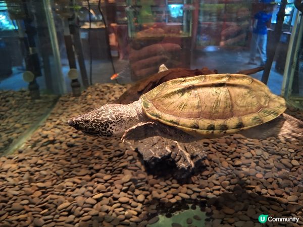 深圳海上世界廣場：貝爾自然探索中心