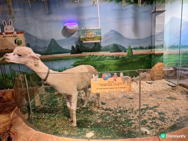 深圳海上世界廣場：貝爾自然探索中心