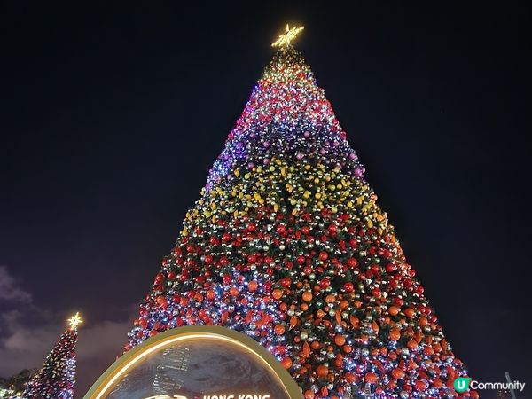 聖誕節指定活動