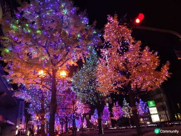 最浪漫的時節大阪光之響宴2023