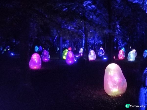 最浪漫的時節大阪光之響宴2023