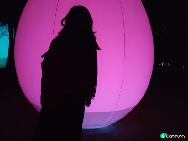 最浪漫的時節大阪光之響宴2023