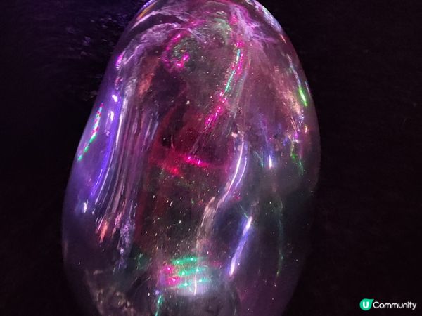 「超夢幻」自然與光影的連繫：夜遊大阪長居植物園TeamLab