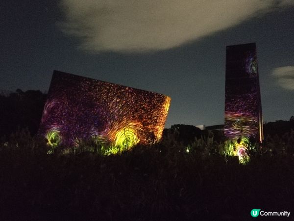 「超夢幻」自然與光影的連繫：夜遊大阪長居植物園TeamLab