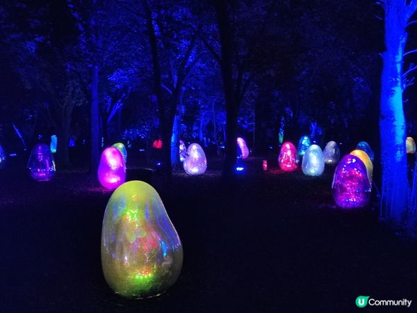 「超夢幻」自然與光影的連繫：夜遊大阪長居植物園TeamLab