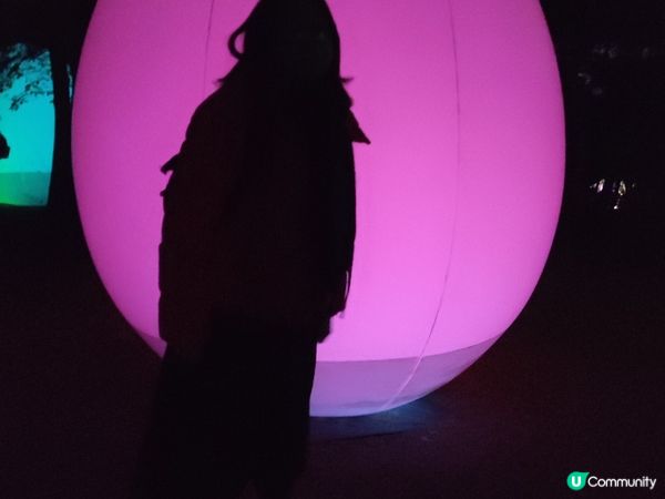 「超夢幻」自然與光影的連繫：夜遊大阪長居植物園TeamLab