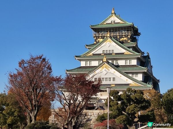 「秋意濃郁」大阪城與銀杏的奇妙邂逅：感受黃金之美