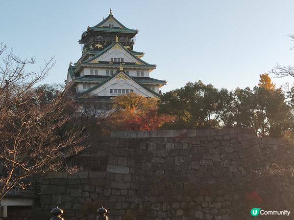 「秋意濃郁」大阪城與銀杏的奇妙邂逅：感受黃金之美