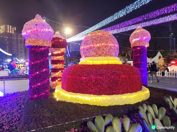 夜遊維園花展2024 🌹🌻🌷🪻