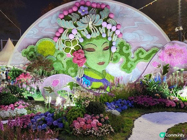 夜遊維園花展2024 🌹🌻🌷🪻