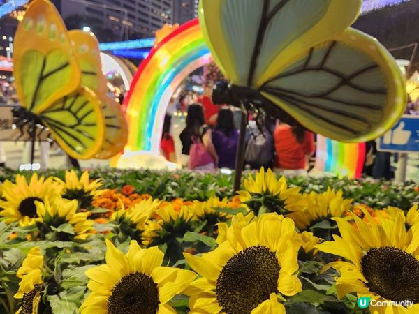 夜遊維園花展2024 🌹🌻🌷🪻