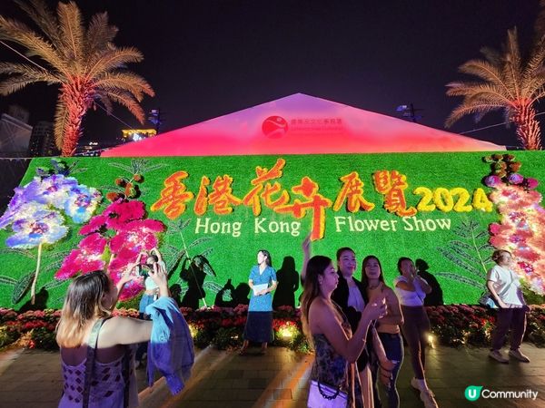 夜遊維園花展2024 🌹🌻🌷🪻