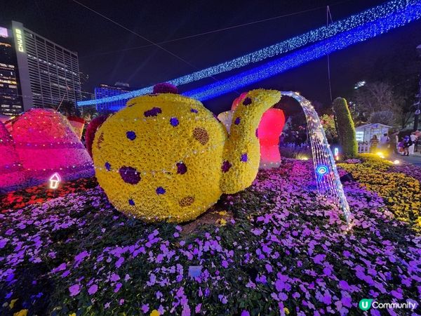 夜遊維園花展2024 🌹🌻🌷🪻