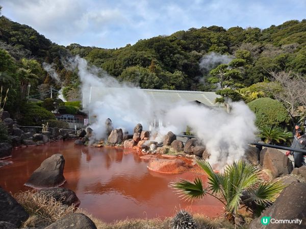 在別府這個溫泉之鄉，有許多溫泉地獄，泉水湧出的奇幻景觀令人嘆...