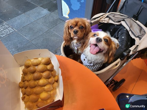 小店位於鋪香港寵物有善商場之一Airside.有香港特色小食...