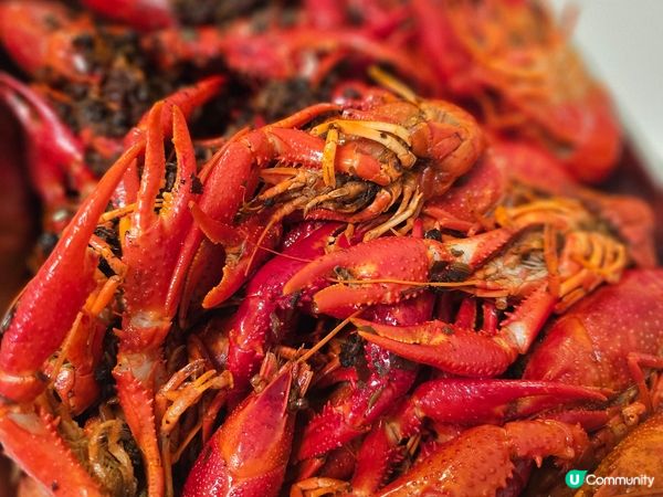 深圳美食多羅羅