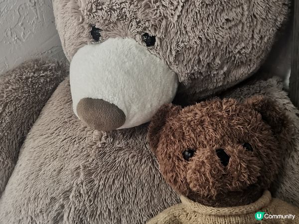 今年老公的生日，我要帶他來一餐治癒向美食🥰