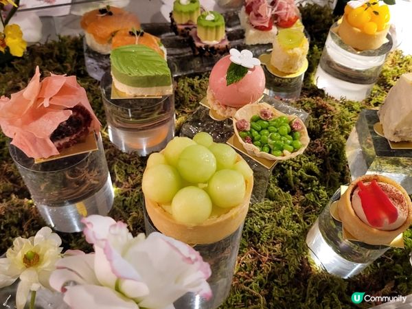 深圳深圳灣慶祝生日之旅，食蟹肉麵及花廚慶祝，非常美味，值得再...