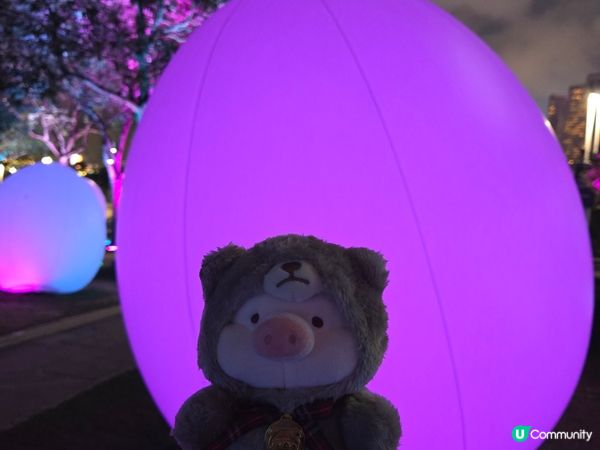 澳門水上光園，好好玩。澳門新濠影匯有donki,好好行。發光...