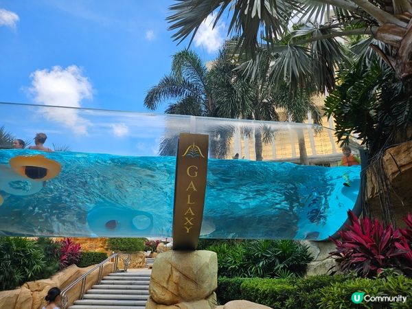 今個夏天開始就緊係要去玩水啦～