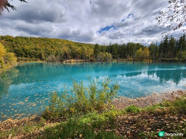 北海道自然美景，似一幅畫又似仙景