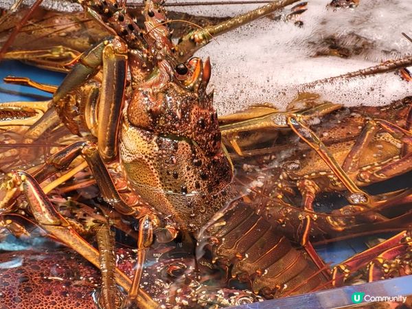 日本沖繩美食之旅