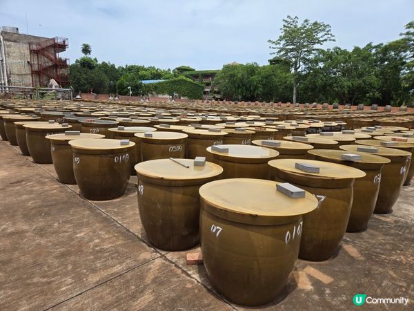 湛江高鐵之旅，第一次到湛江，位於近海，所以海景很靚，而且食海...