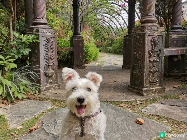 最近帶狗狗去了馬灣玩，有好多好靚既打卡位，例如宮廷風公園同埋...