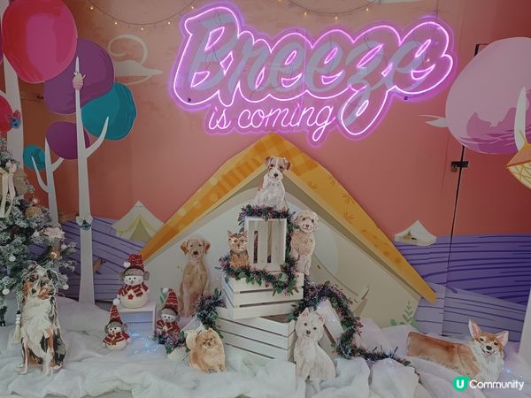 狗狗也camping 🏕️