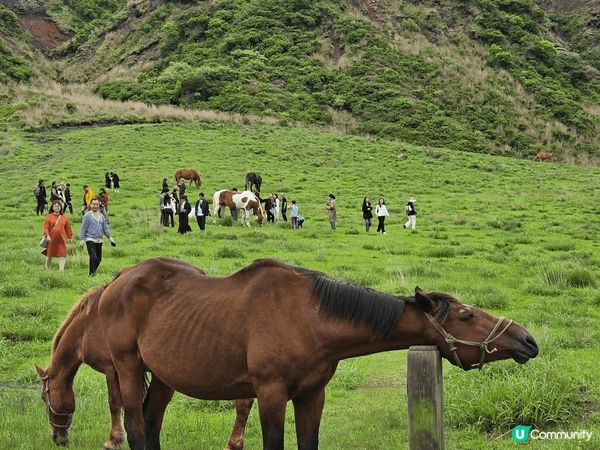 熊本阿蘇自駕遊🌋！火山打卡📸！