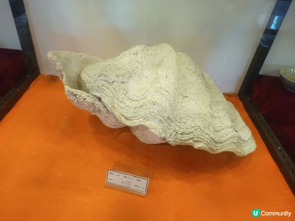 北上旅遊 ~ 參觀飲食風俗博物館