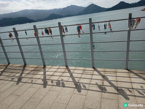 禁區探索一日遊🏘️