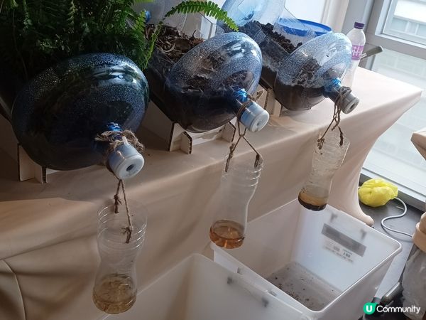 大自然實驗室及互動遊戲⛰️