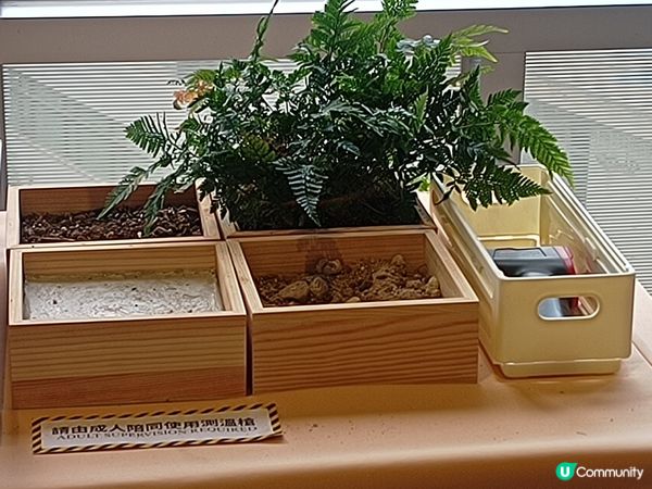 大自然實驗室及互動遊戲⛰️