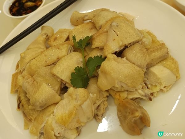 1.  今日美食大放送！😋 茶树菇鸡汤、白切鸡...🤤 