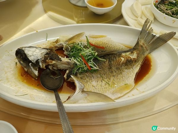 1.  今日美食大放送！😋 茶树菇鸡汤、白切鸡...🤤 