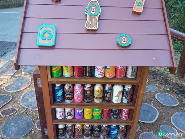 解鎖香港美景！🏃‍♀ 港島徑40周年行山挑戰！⛰️ 