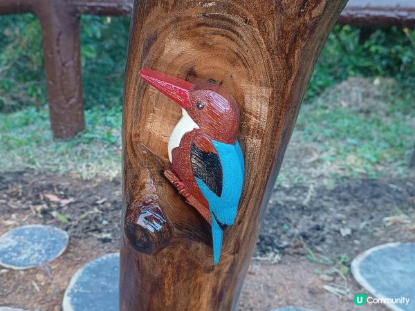 解鎖香港美景！🏃‍♀ 港島徑40周年行山挑戰！⛰️ 