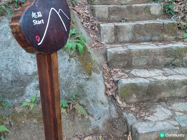 解鎖香港美景！🏃‍♀ 港島徑40周年行山挑戰！⛰️ 