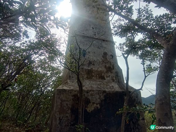 解鎖香港美景！🏃‍♀ 港島徑40周年行山挑戰！⛰️ 