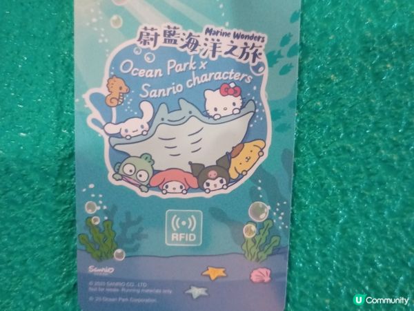 6大Sanrio characters玩轉海洋奇遇！🌊🐠