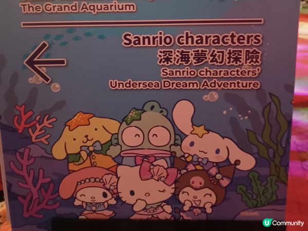 6大Sanrio characters玩轉海洋奇遇！🌊🐠