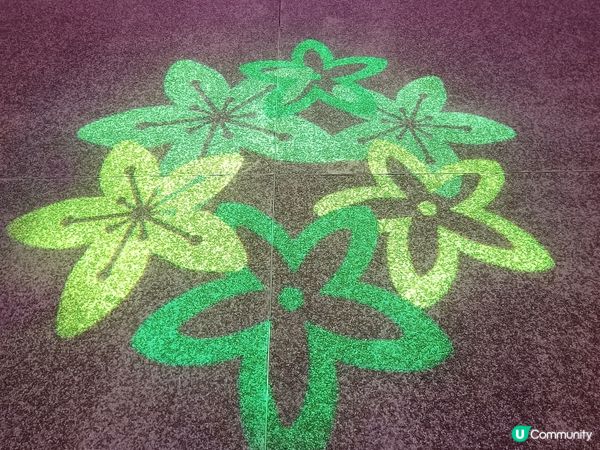 燈耀沙田馬躍新春！🏮✨