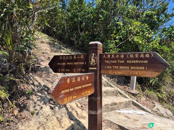 行山樂 - B7 深淺兩塘皆宜趣