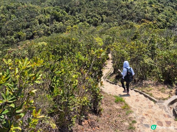 行山樂 - B7 深淺兩塘皆宜趣