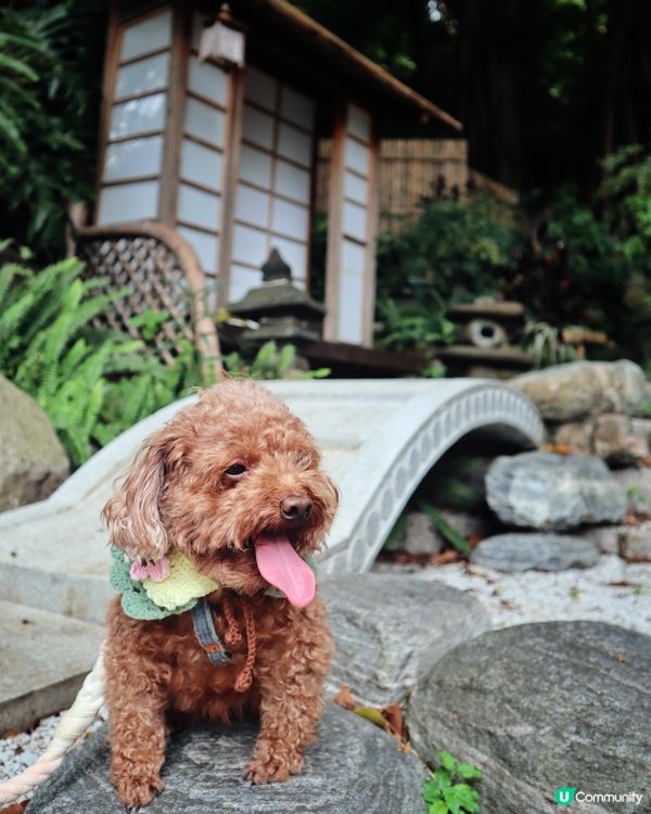 啲人類個個都仆倒去日本🇯🇵等我都去個偽日本遊先！搭車就去到喇...